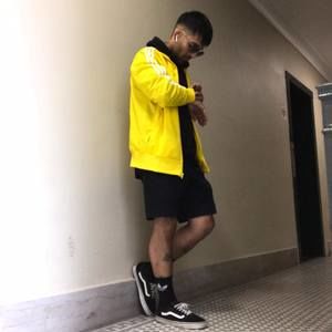 Meet your Posher, Dannko stephann